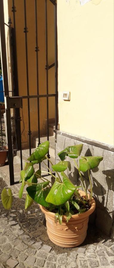 Pompei Vesevus Apartament Boscotrecase Extérieur photo